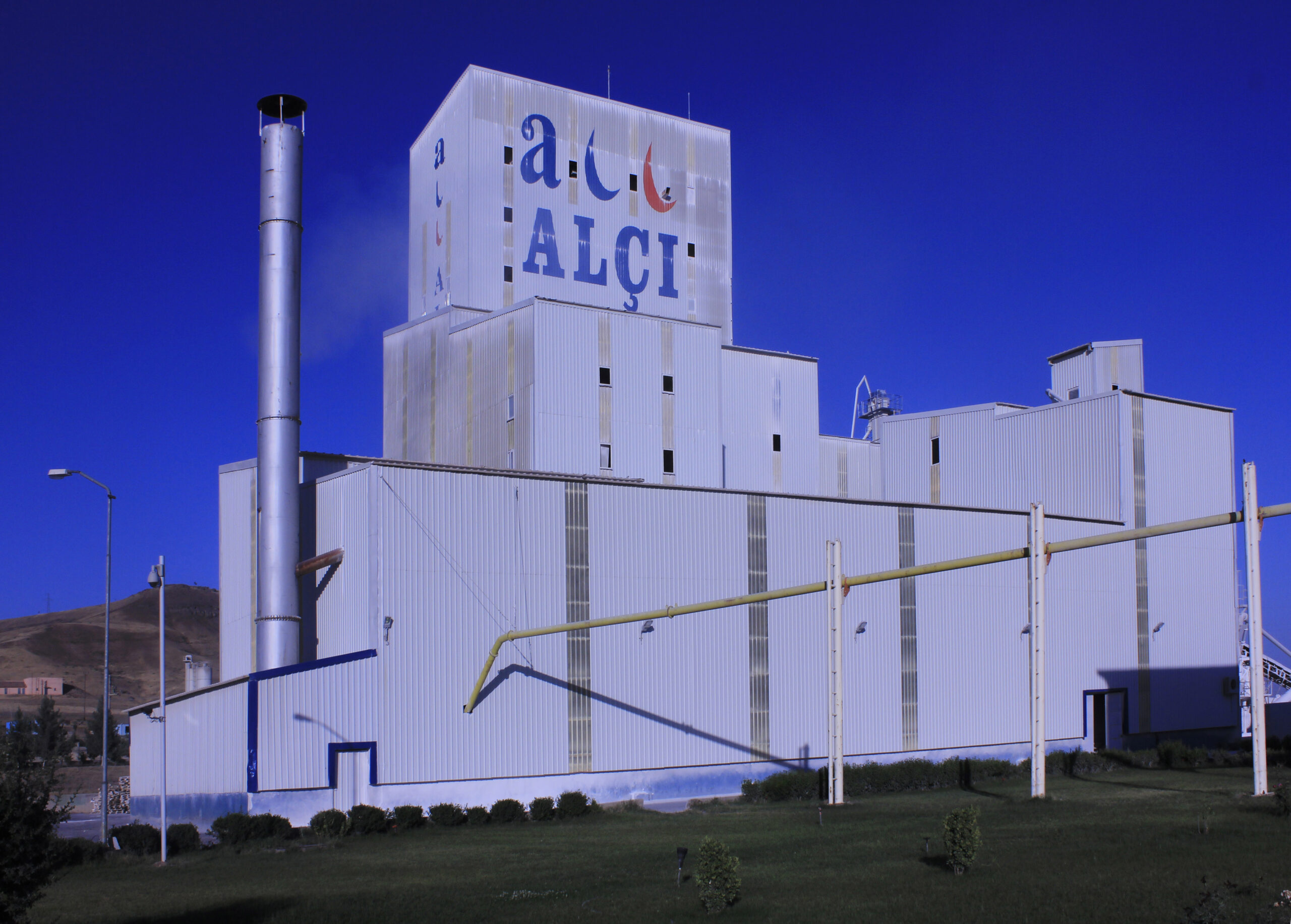 All-Alci